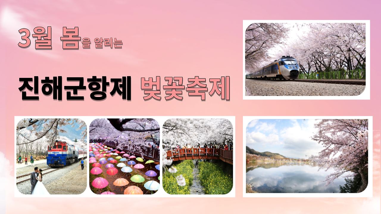 3월 봄 진해군항제 소개