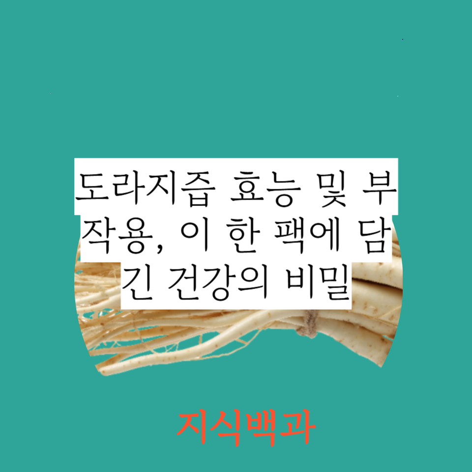 도라지즙 효능 및 부작용, 이 한 팩에 담긴 건강의 비밀