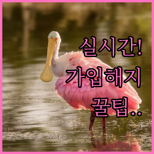 배달 플랫폼 연동 시간제 보험 실시간..