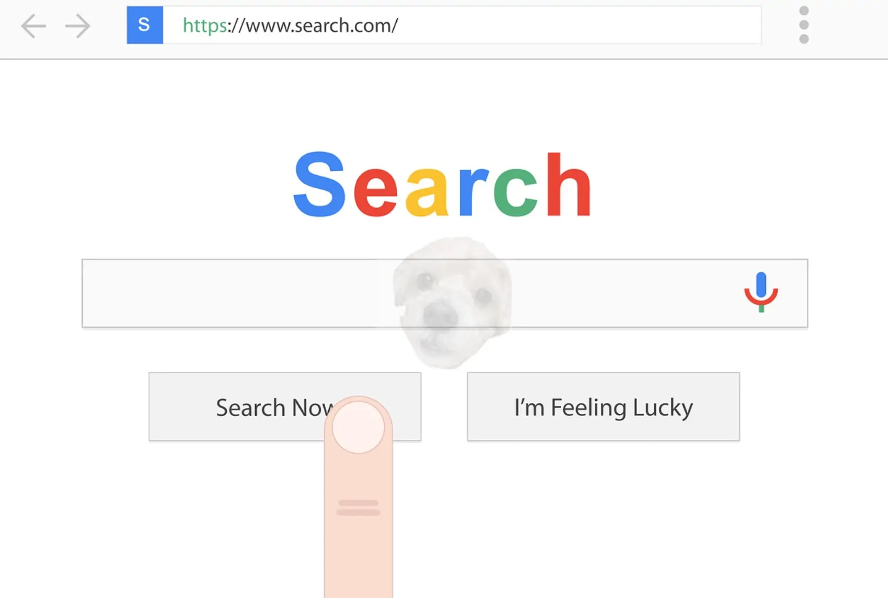 구글 서치 엔진 사진