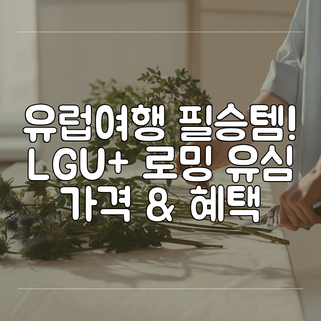 유럽여행 필승템! LGU+ 로밍 유심 가격 &amp; 혜택