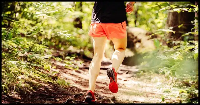 슬로우 조깅 건강법 방법과 효과 (kbs 생로병사의 비밀에서 나온 운동법)