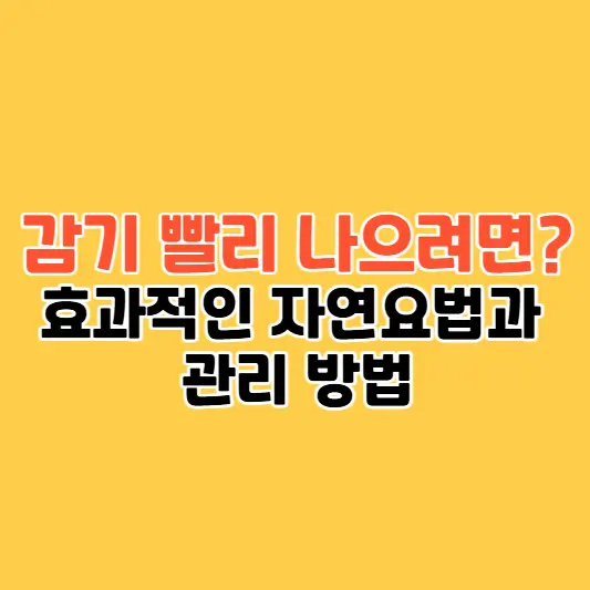 감기 빨리 나으려면? 효과적인 자연요법과 관리 방법