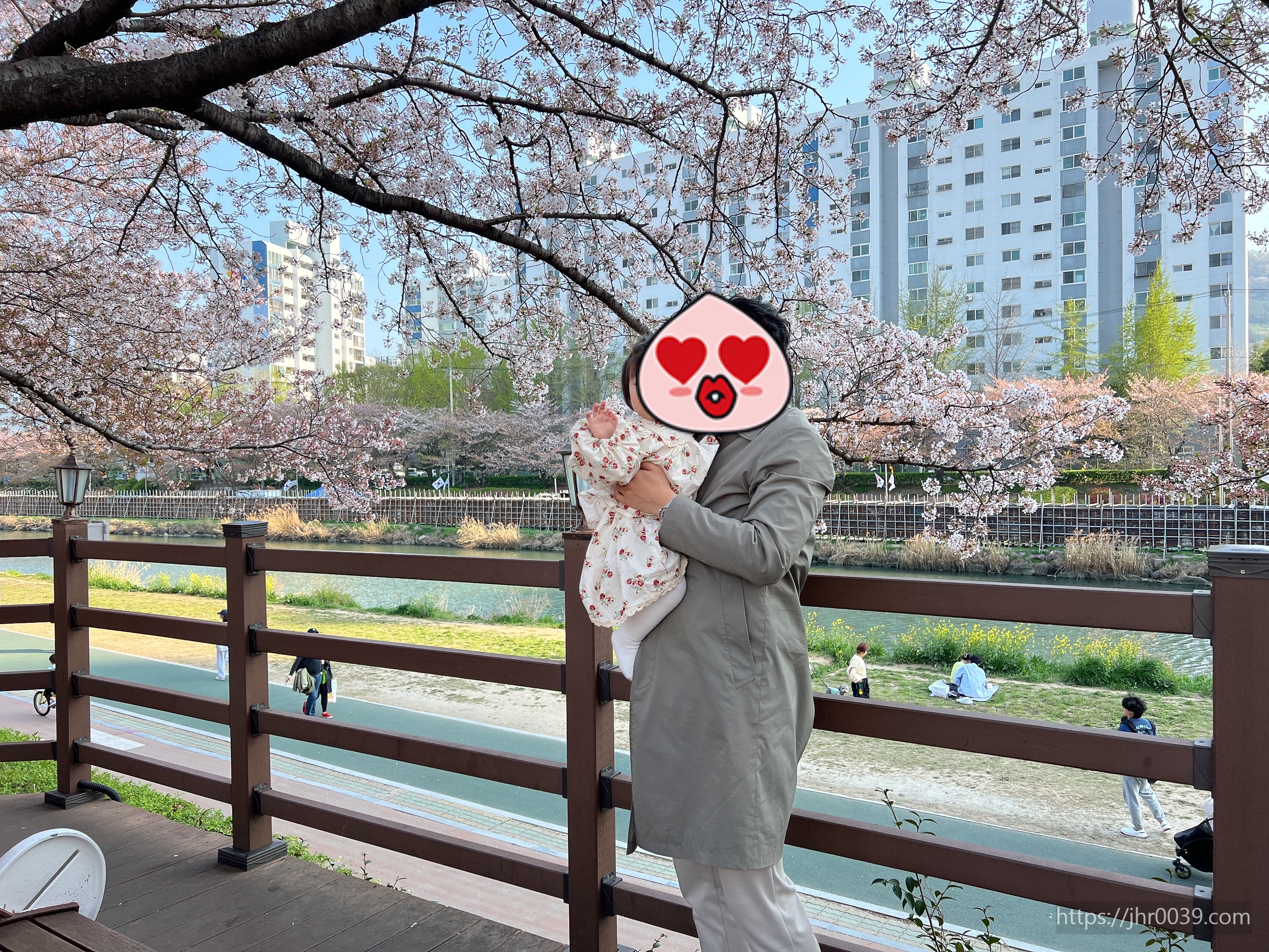 온천천-벚꽃 아빠와 아이