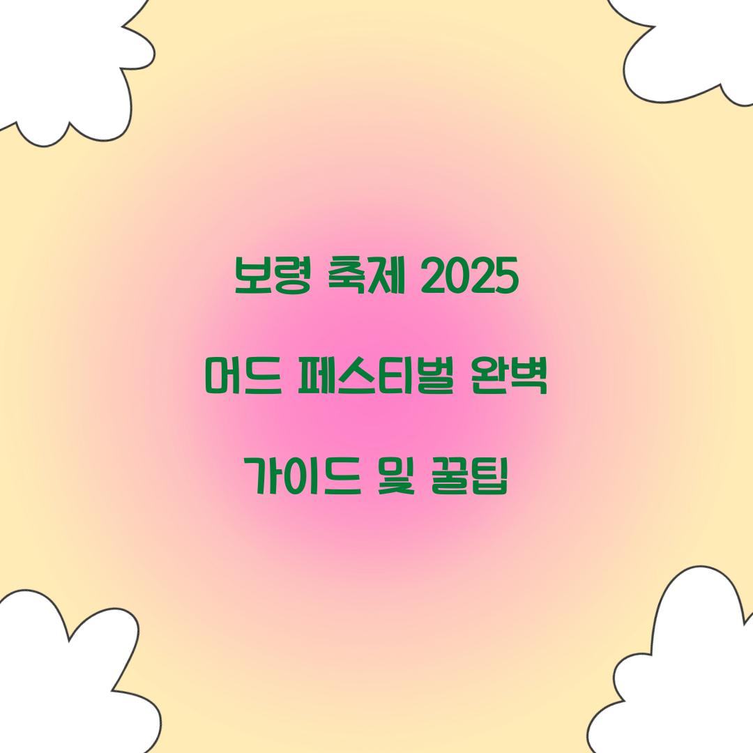보령 축제 2025 머드 페스티벌