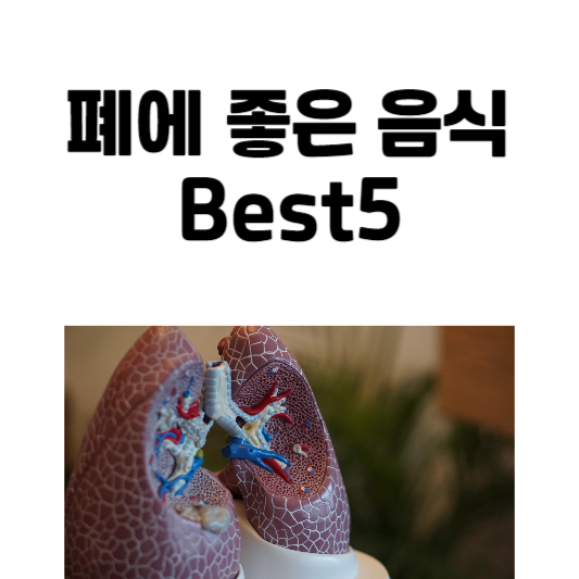 폐에 좋은 음식 Best5, 폐건강 음식
