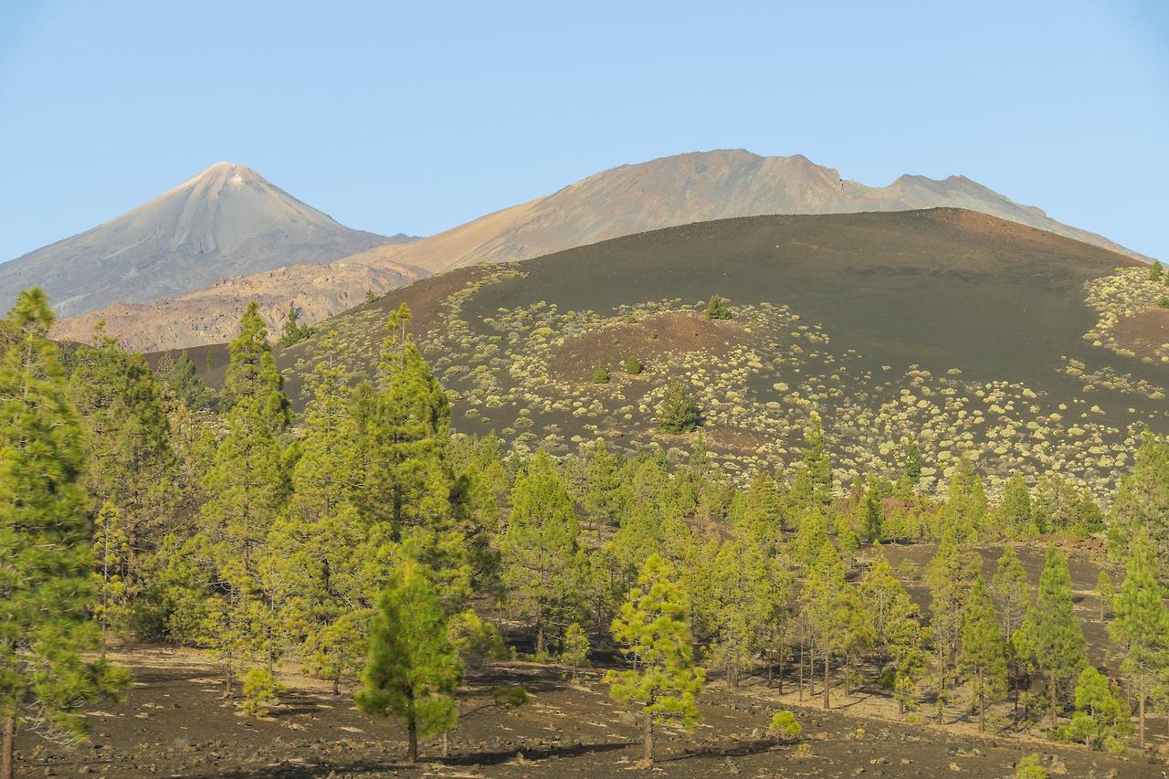 테이데 산과 마스카 계곡 투어 신청하러 가기