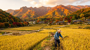 2026년 공익직불금 신청 자격부터 방법까지 완벽 정리