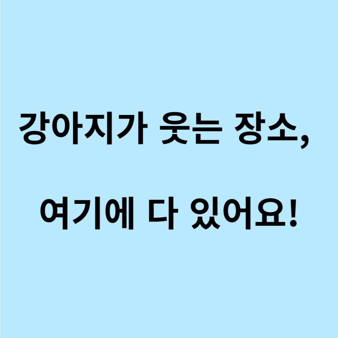 반려견과 함께 나들이 장소