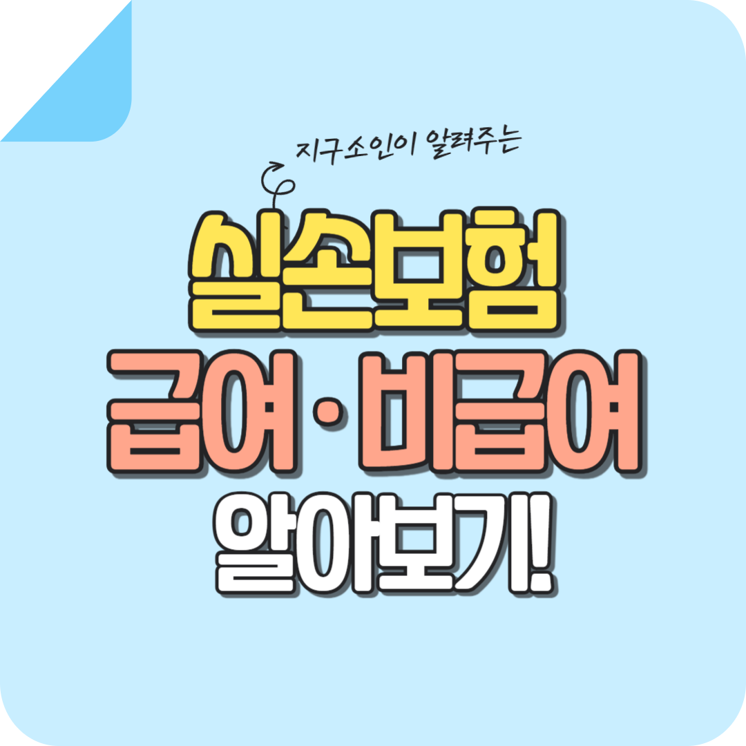 실손보험-급여-비급여