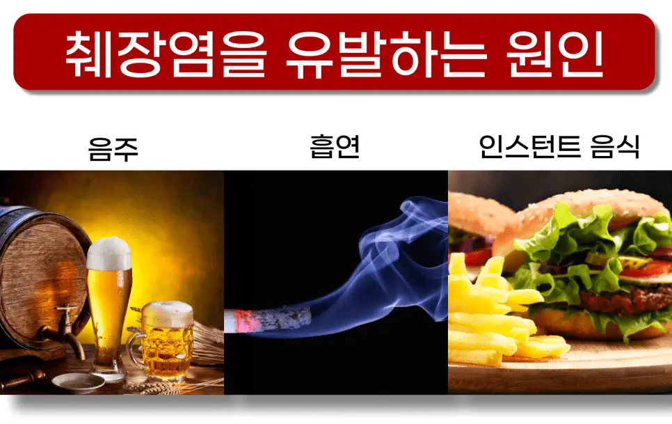 췌장효소추천