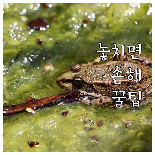 광진구 폐기물 품목별 수수료 확인 스..