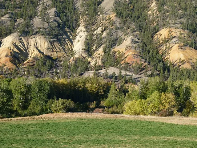 역설법 반어법 구분 사용 예시_7