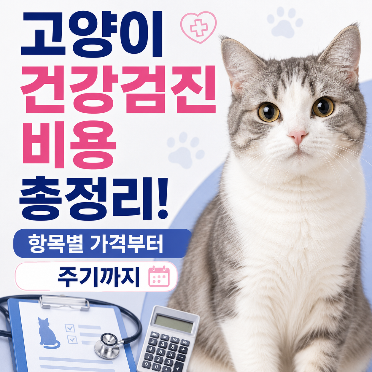 고양이 건강검진 비용