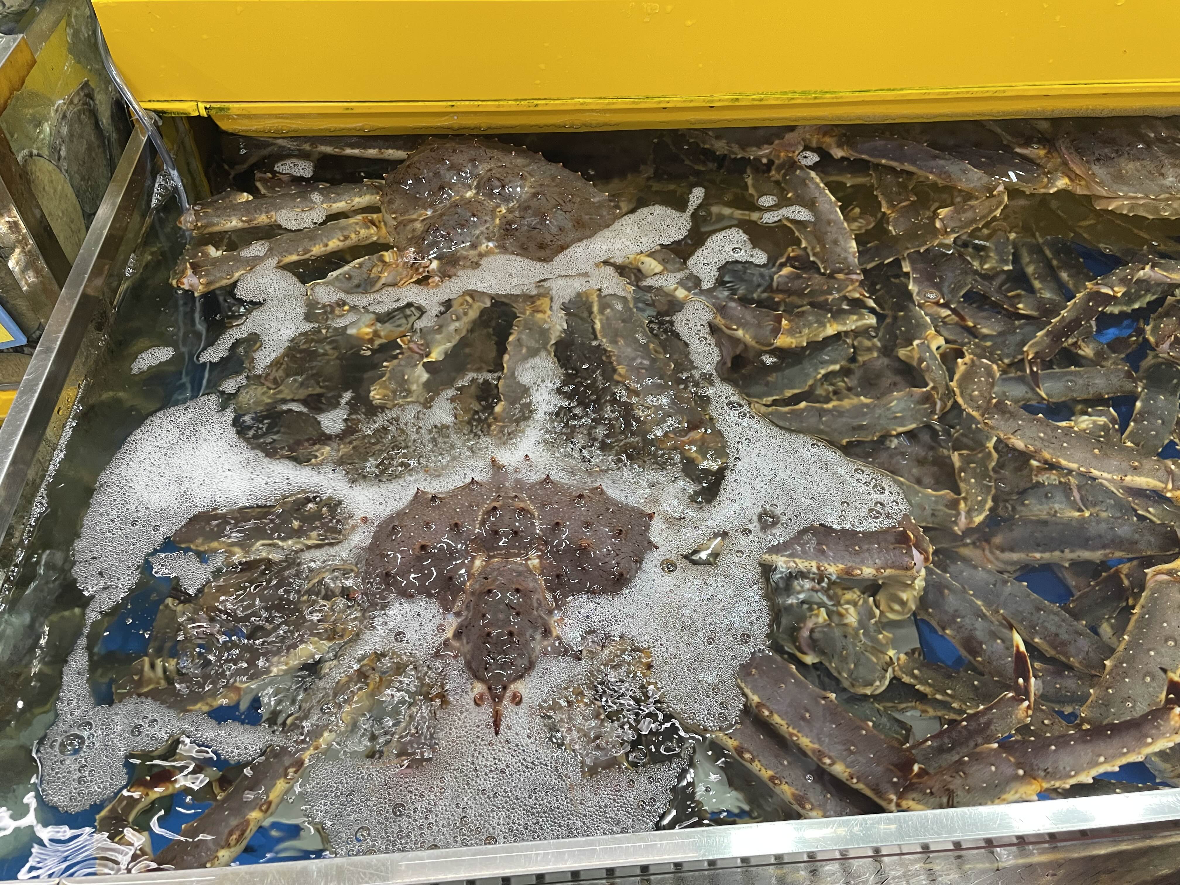 수원농수산물 시장 부부수산 킹크랩