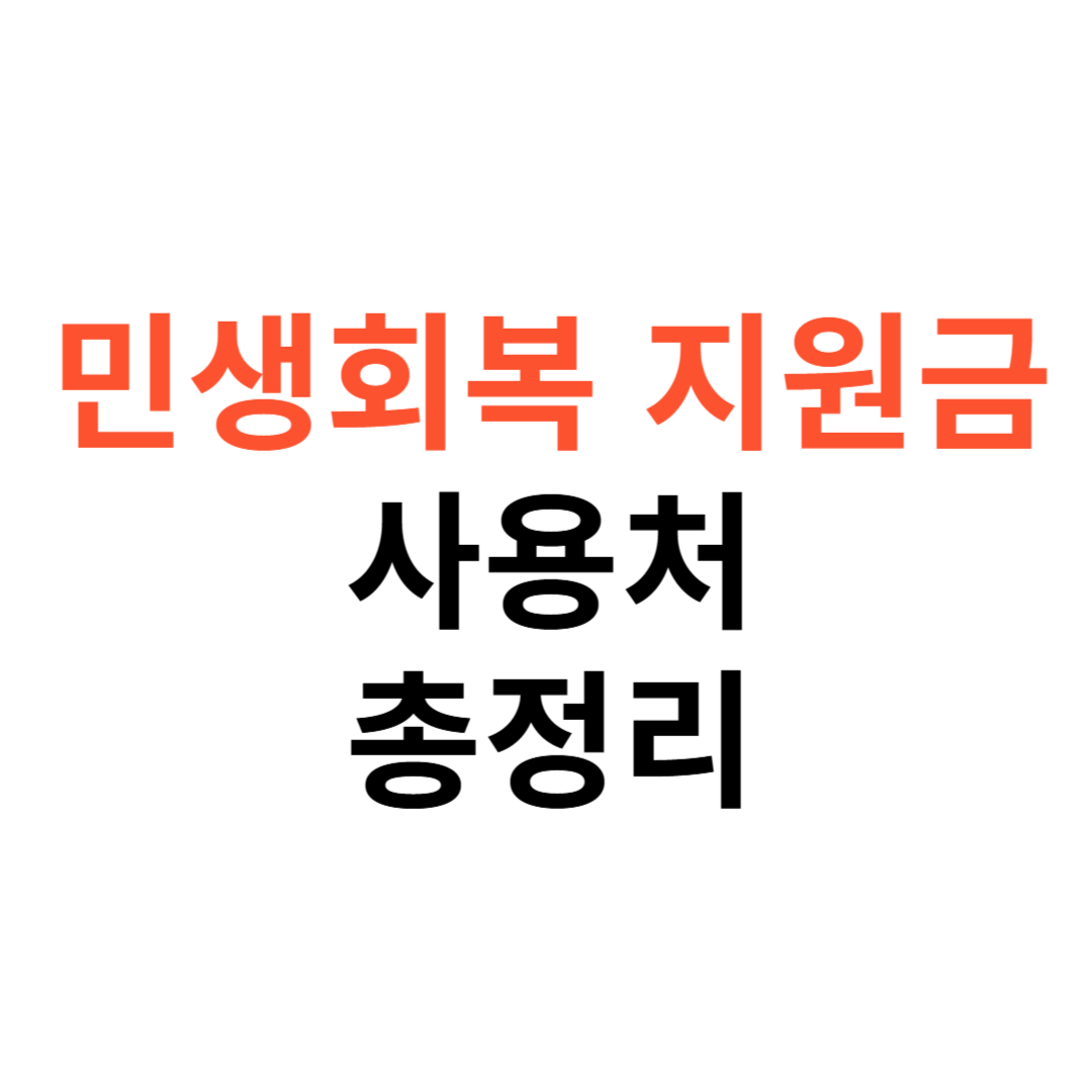 민생회복 지원금