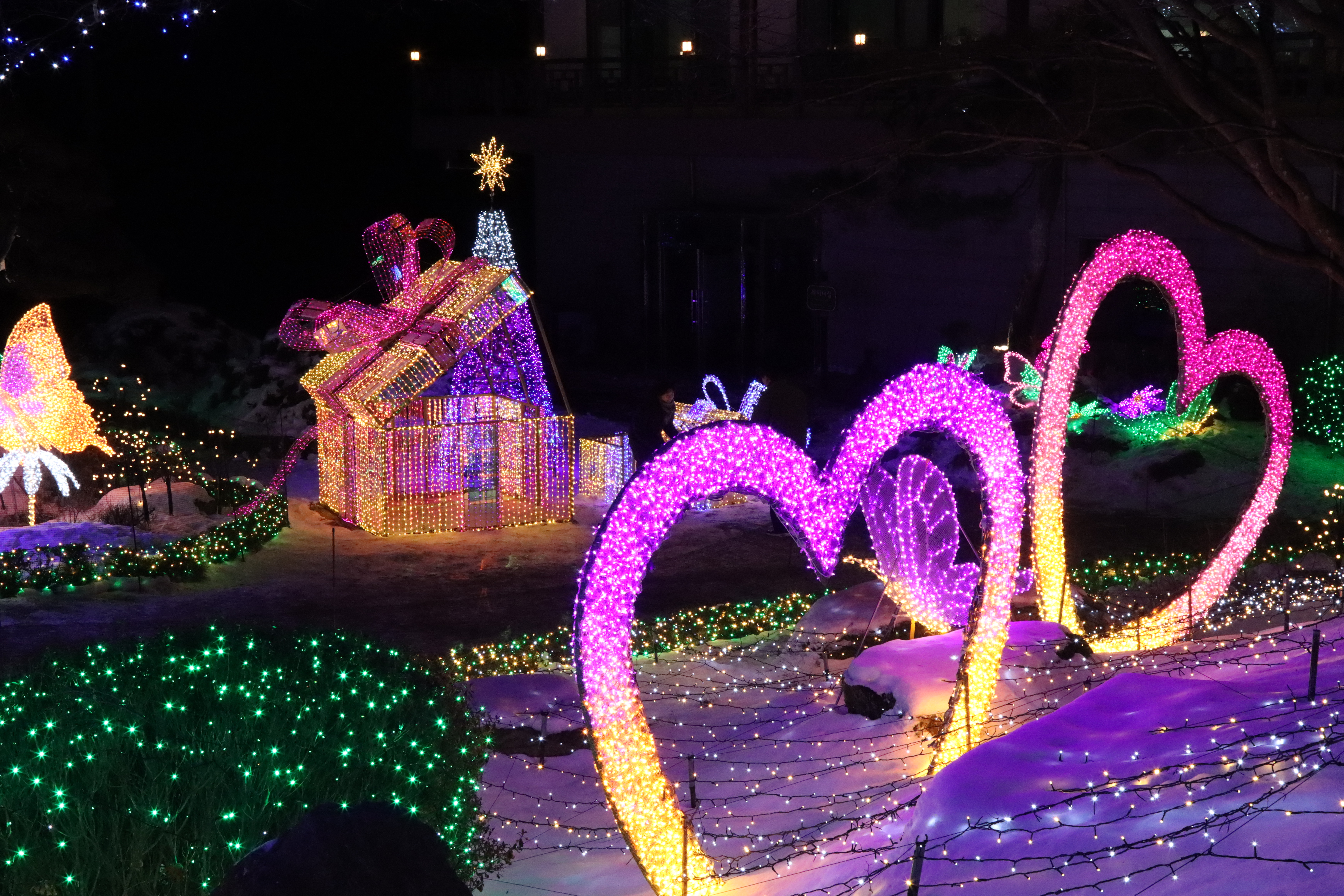 아침고요수목원