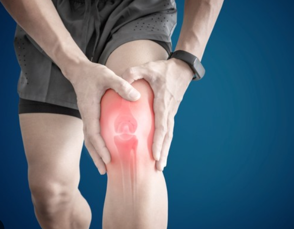 콘드로이친 효능