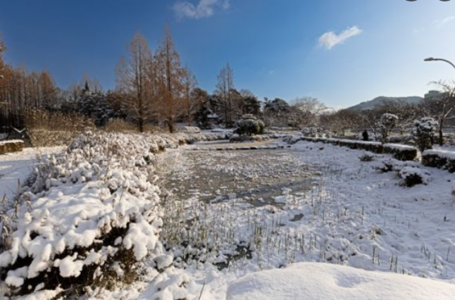 1월 전라도 광주 가볼만한곳 추천 ❘ 국내 겨울 여행지 ❘ 데이트 가족 당일치기 여행