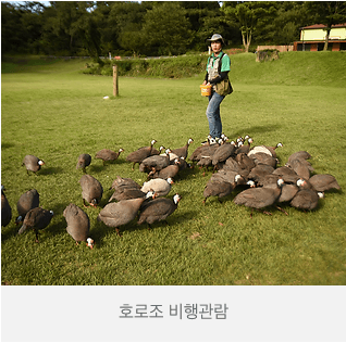 제주 화조원 티켓 (화조원 사이트 사진참조)