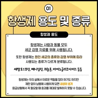 &amp;quot;고양이