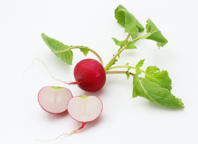 래디시