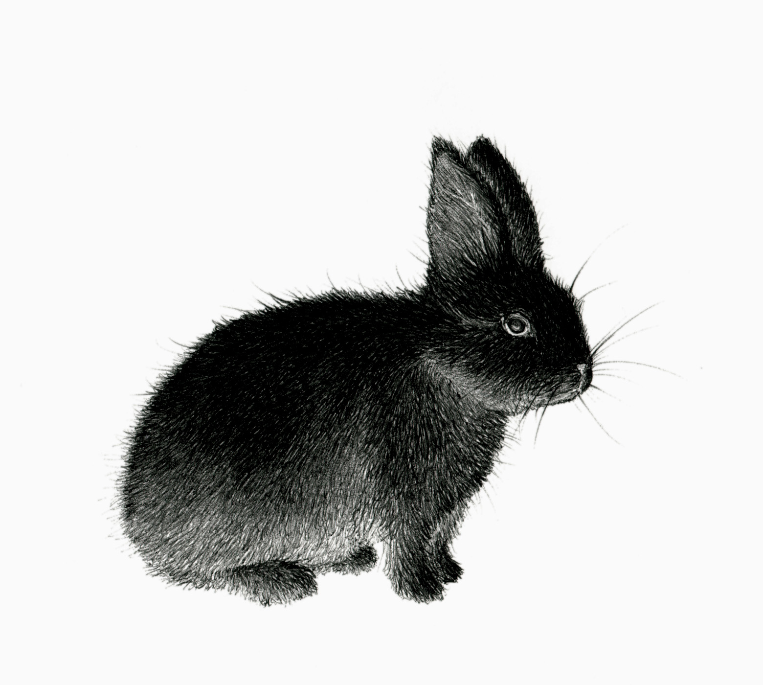 무료 신년운세 보기