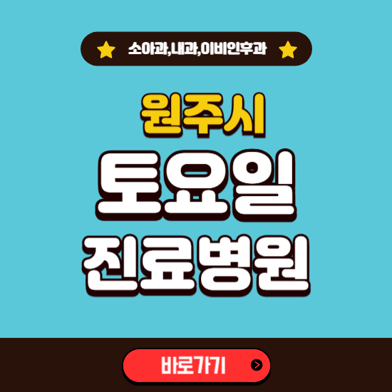 원주시 토요일 진료 병원 찾기 ❘ 주말 문여는 소아과, 내과, 이비인후과 리스트