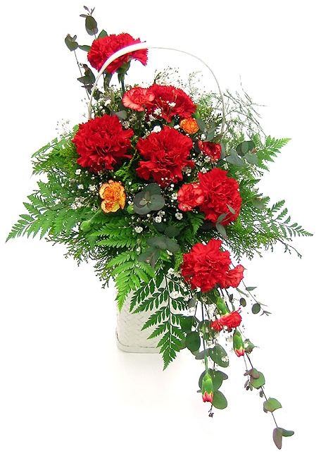 어버이날-카네이션