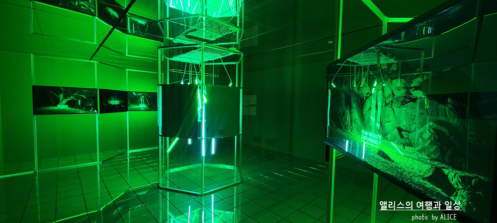 kkday 4월 할인코드, 모르면 손해보는 30% 할인코드