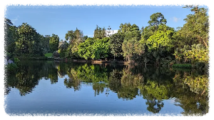 싱가포르 보타닉 가든