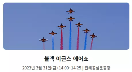 비행기-에어쇼