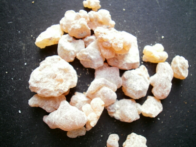 보스웰리아 효능이 고관절 영양제라고?