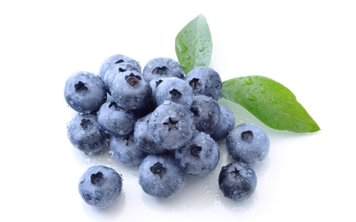 블루베리