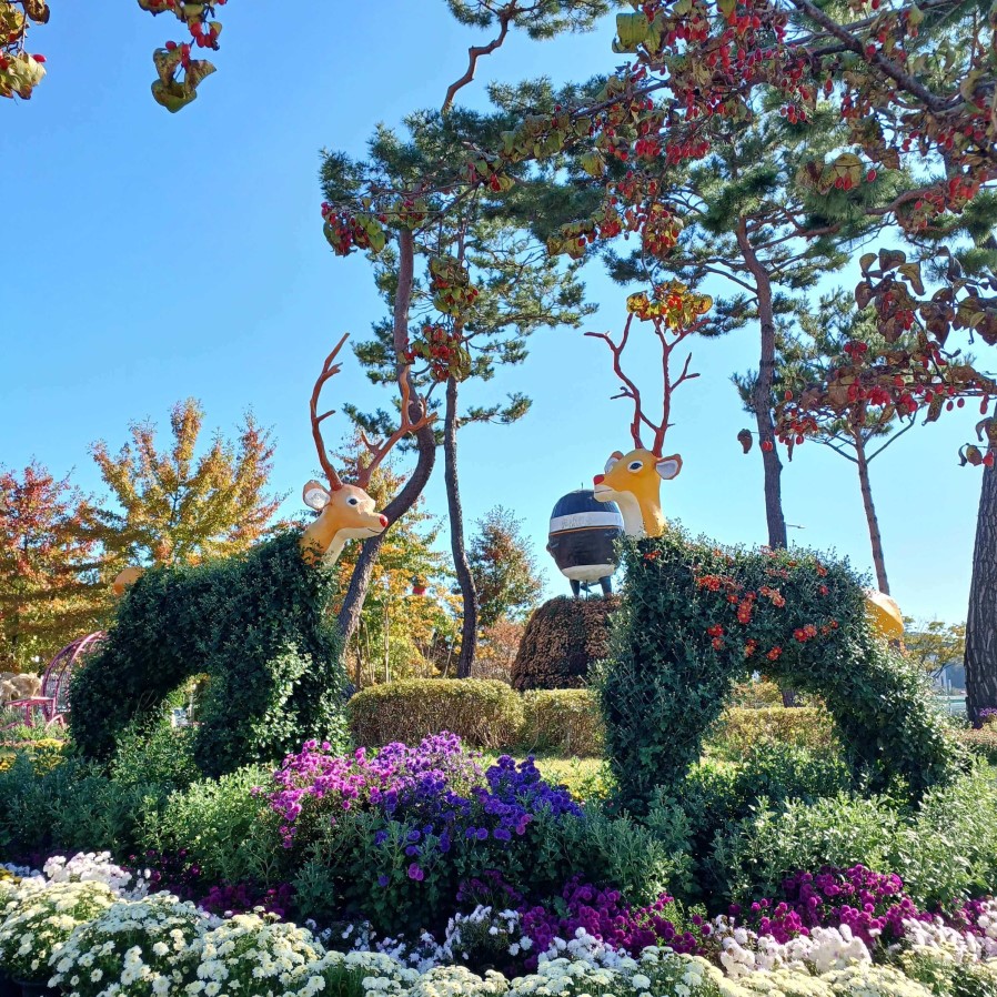 국화로 만든 사슴