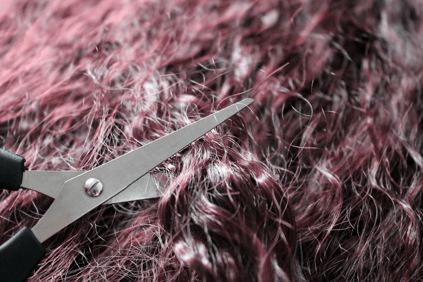 가위로 머리를 자르고 있는 모습