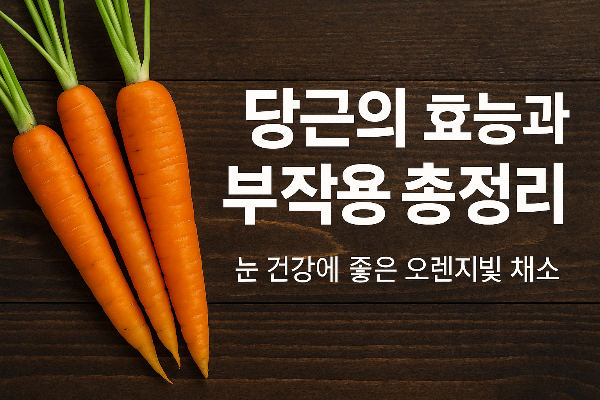당근의 효능과 효과 및 부작용 알아보기