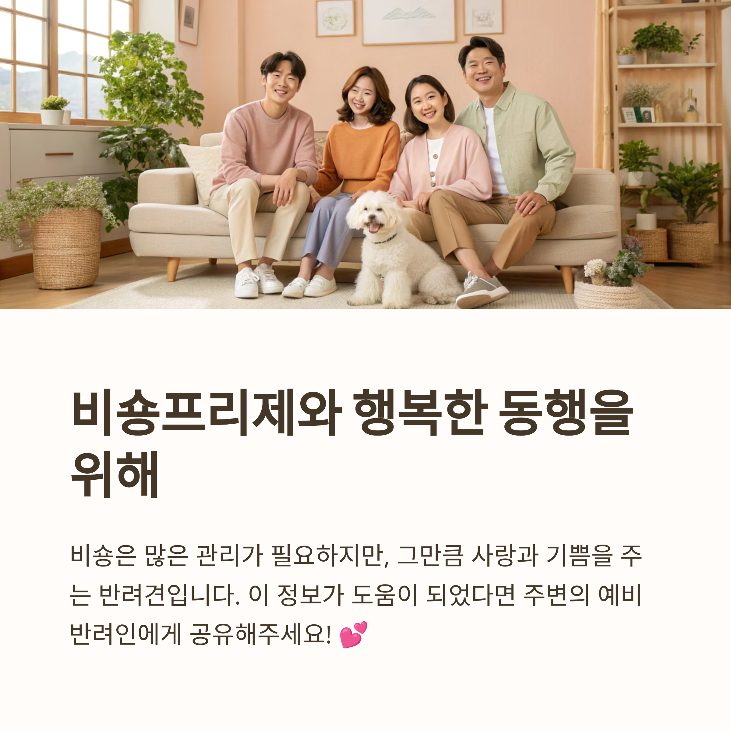 비숑프리제와 행복한 동행을 위해