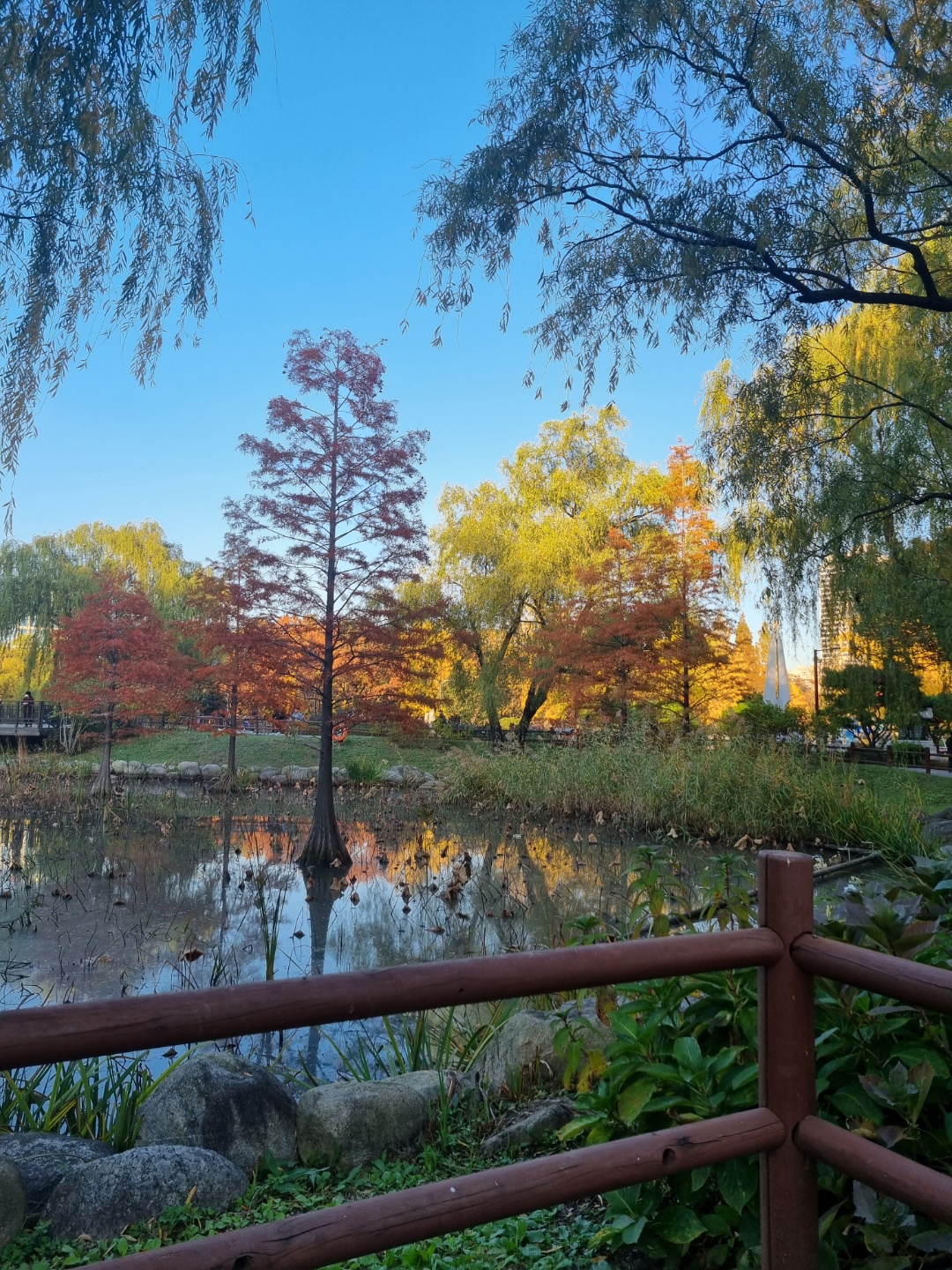 보라매공원 가을풍경