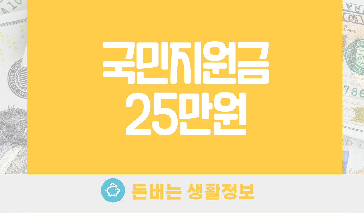 국민지원금 25만원