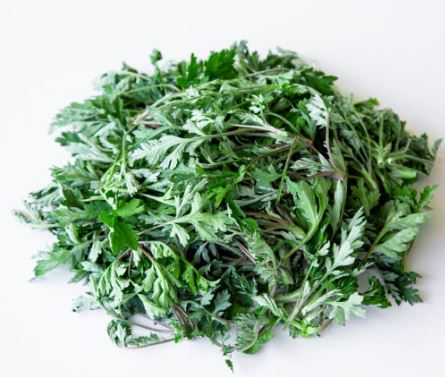 3월 제철음식 총정리: 달래, 주꾸미부터 도다리 쑥국까지 완벽 가이드