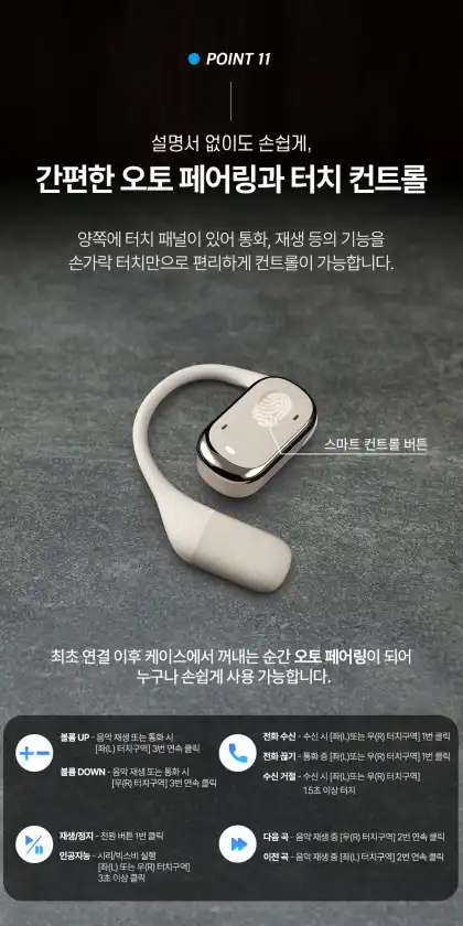 블라우풍트 무선 이어폰 - 찐 후기 (장단점 다 알려 드림!!!) - 100주년 에디션의 특별함