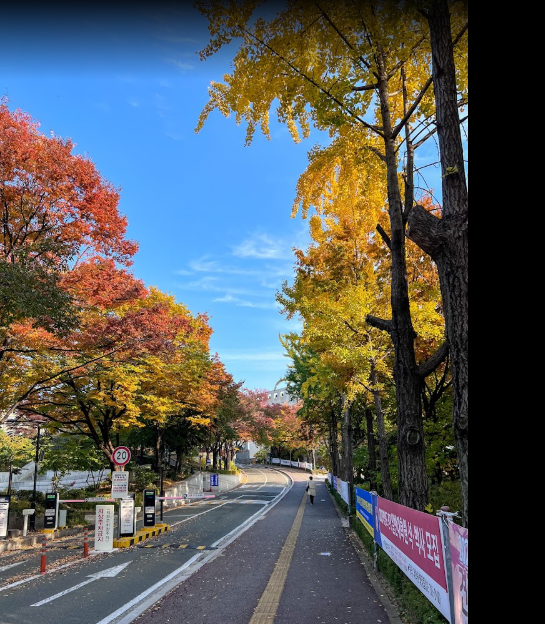서강대학교 이미지
