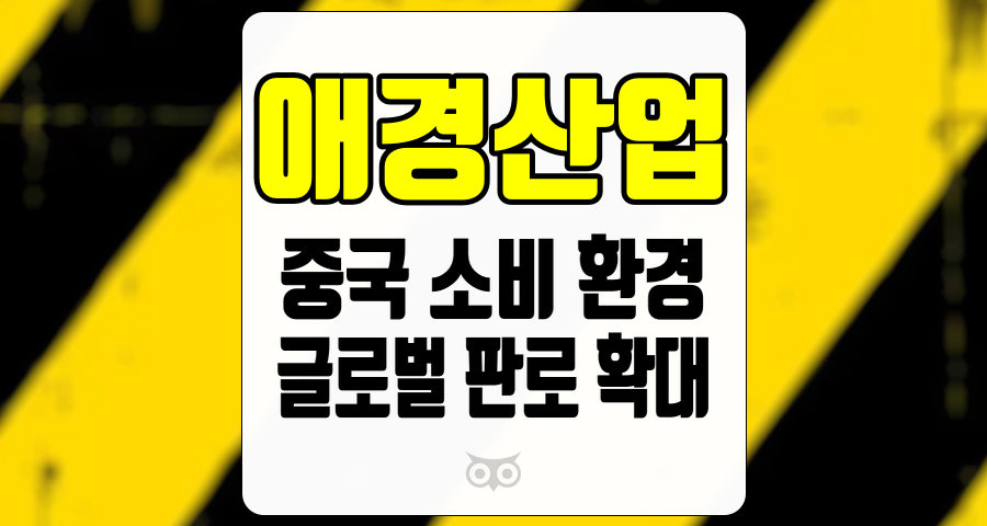 애경산업, 중국 소비 환경의 악화가 애경산업 실적에 미치는 영향