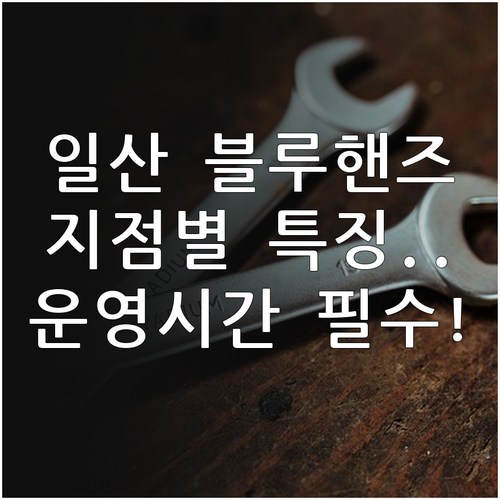일산 현대자동차 서비스센터 블루핸즈 ..