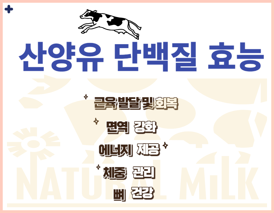 산양유초유단백질 VS 산양유 단백질 효능과 부작용을 알아봤어요. 단백질은 근육, 피부, 머리카락, 다양한 효소 및 호르몬의 구성 요소입니다. 또한, 단백질은 에너지원으로서 중요한 역할을 합니다. 어떤 효능이 있고 부작용이 있는지 확인해보세요!