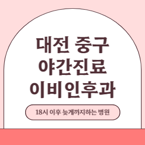대전 중구 야간진료 이비인후과 병원 (18시 이후 늦게까지하는 병원)