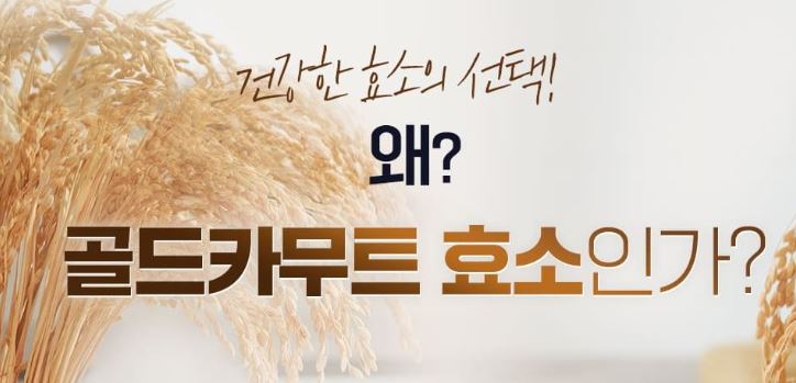 골드-카무트효소-가격