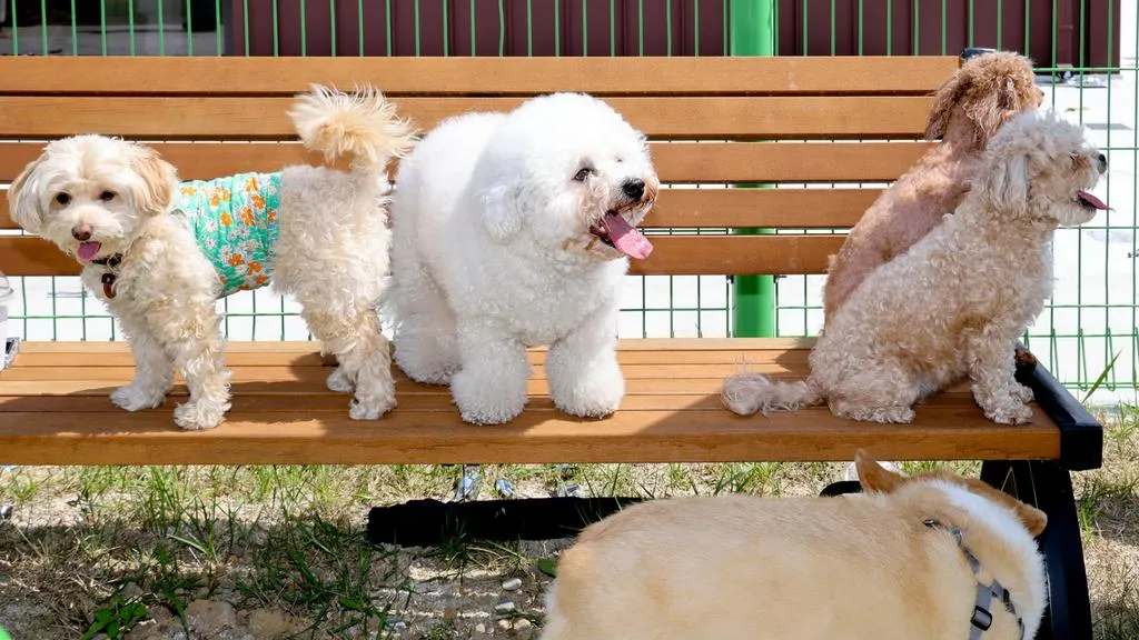 합천 멍스테이