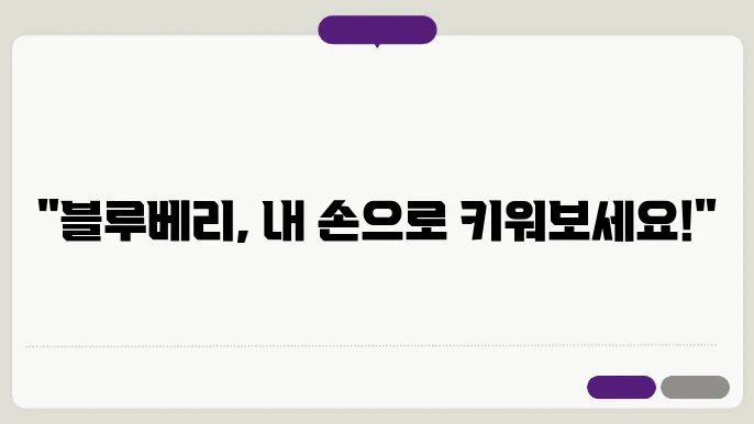 블루베리 묘목 재배 과정